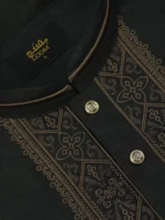 Premium Edition Panjabi