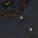 Premium Edition Panjabi