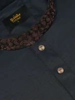 Premium Edition Panjabi