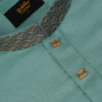 Premium Edition Panjabi